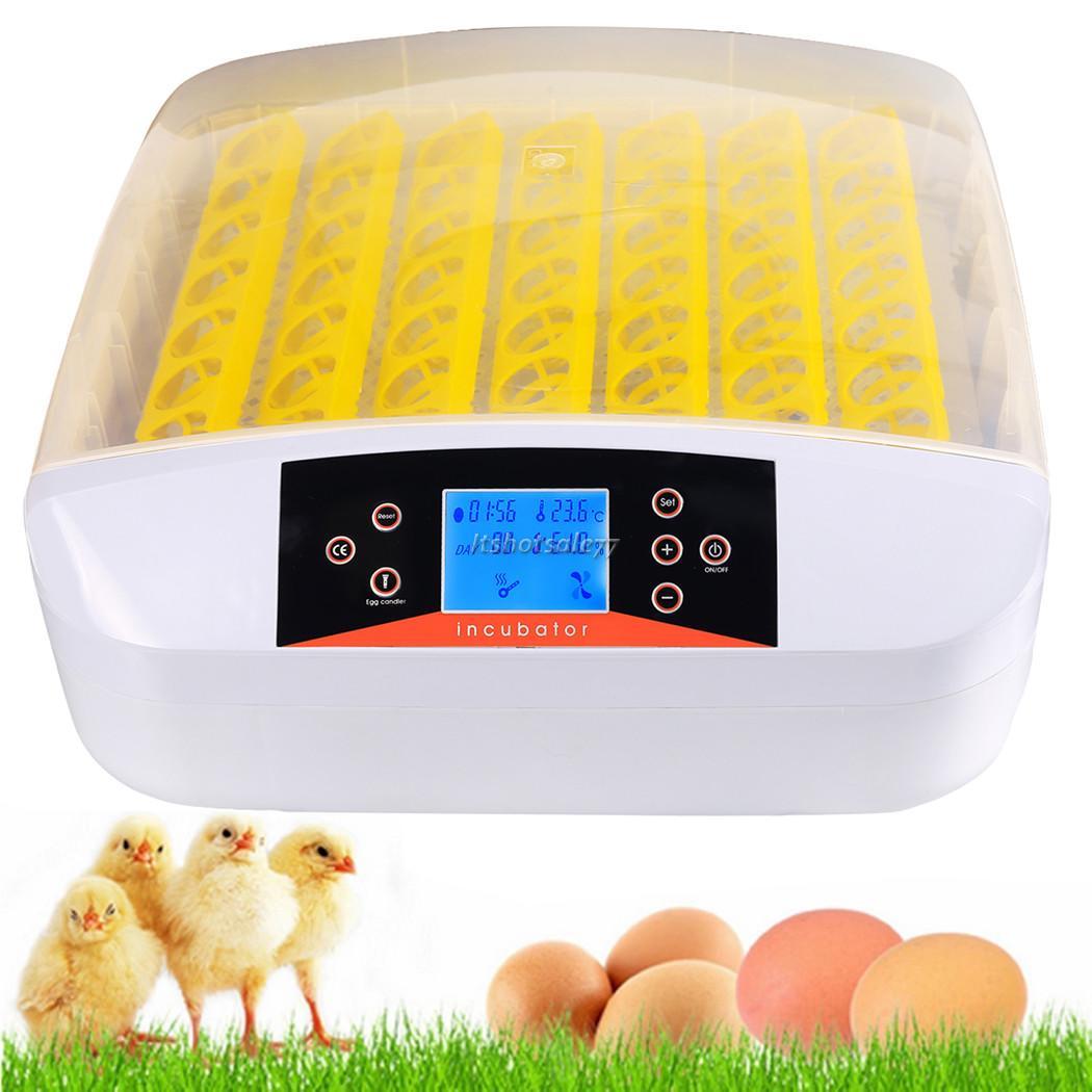 New UK Plug Farm Automatic Digital Chicken Egg Incubator 56 Eggs 