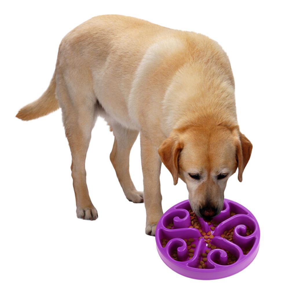 Pet Fun Feeder Dog Bowl Slow Feeder Dog Feeder Bowl Slow Feed Non