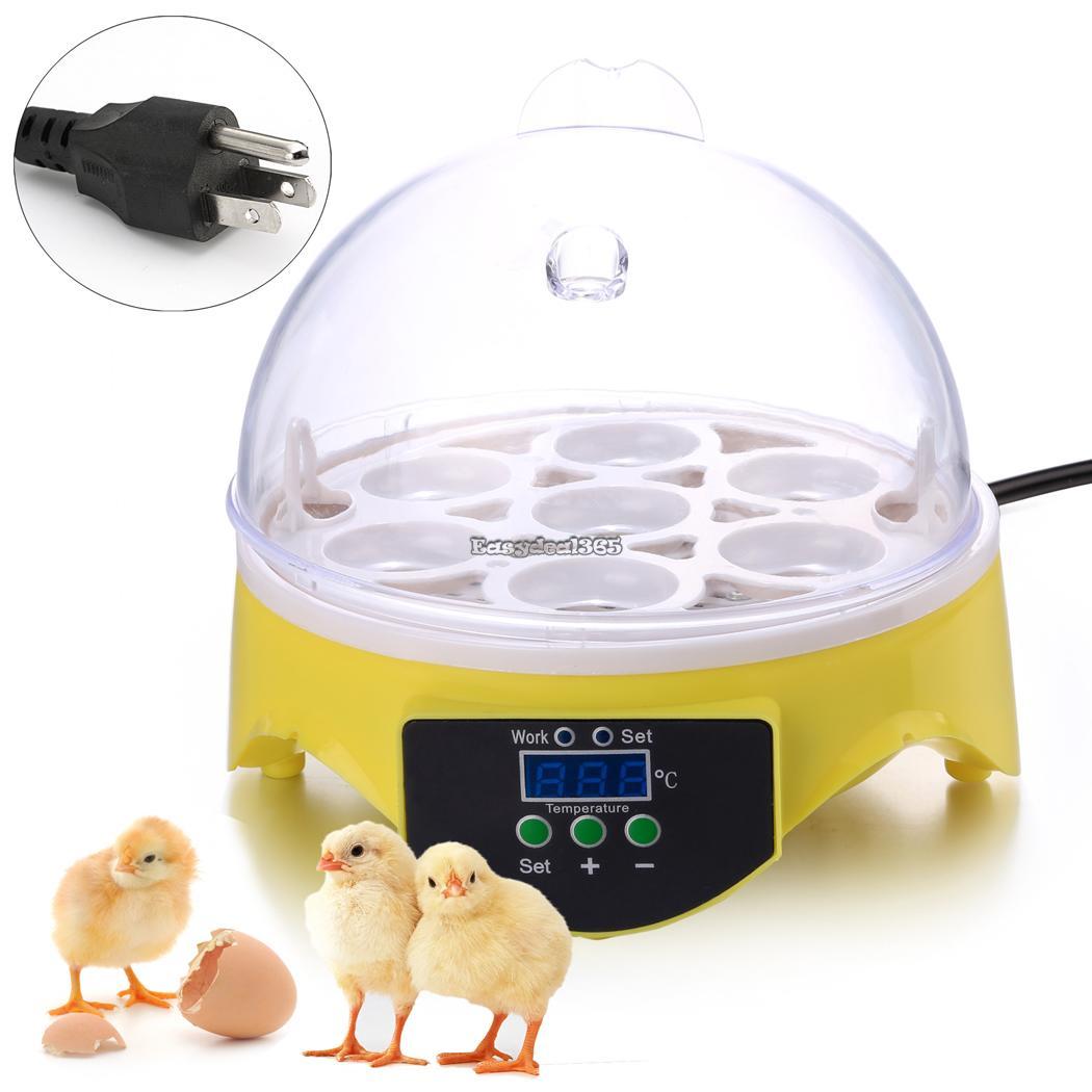 1 X 1.5kg plastic feeder baby chicken chicks hen poultry feeder lid & handle PLC 
