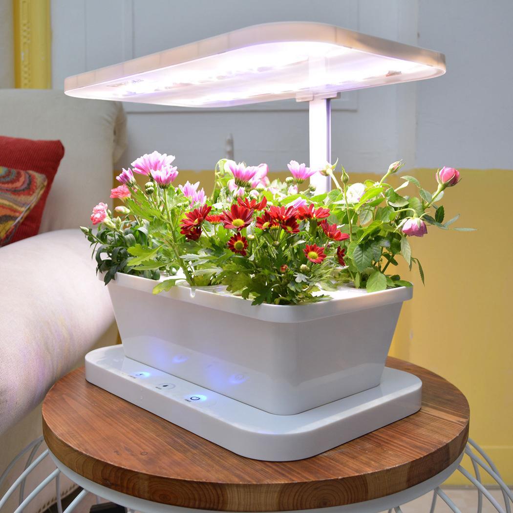 Indoor Gardening Kit Smart Hydroponics Plant Growing ...