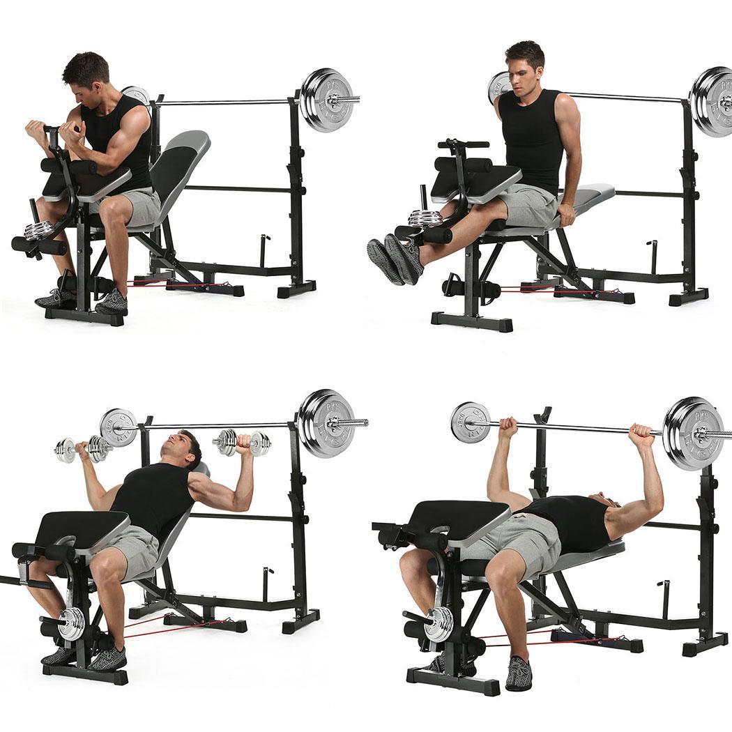 Olympic Weight Bench Preacher Curl Leg Developer Multi Functional